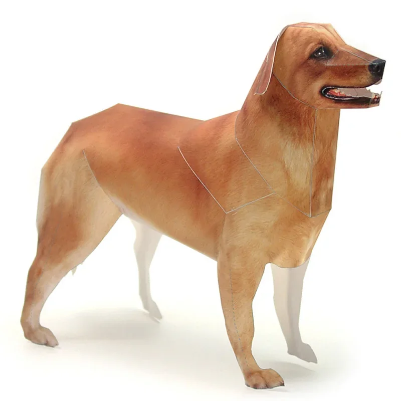 Art Craft Cardboard - 골든 리트리버 강아지 종이 모델 사실적인